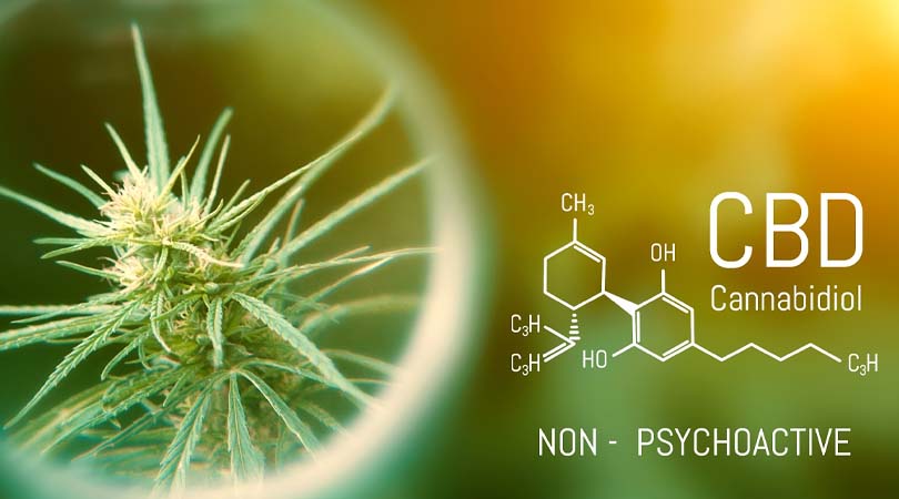 What-Are-The-Benefits-Of-CBD