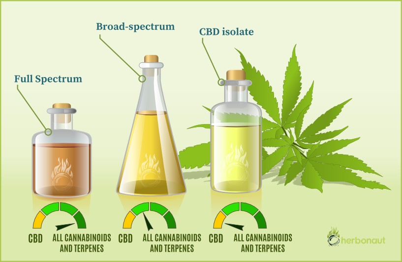 Full-spectrum vs. Broad-spectrum CBD: Differences, Products, and More