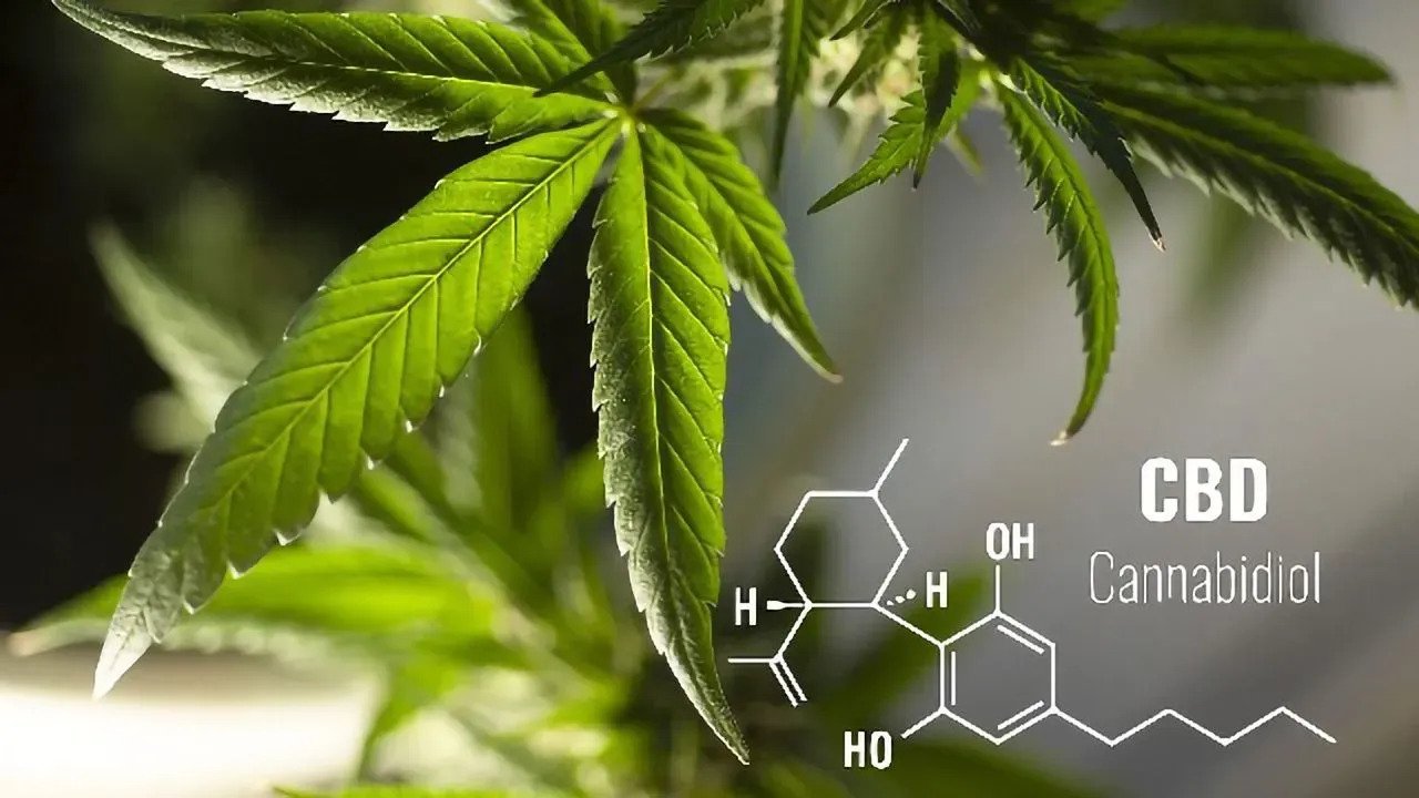 Who Shouldn't Take CBD? What Drugs Should You Not Take With CBD? – Keoni CBD